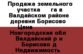 Продажа земельного участка 1,2 га в Валдайском районе, деревня Борисово › Цена ­ 4 000 000 - Новгородская обл., Валдайский р-н, Борисово д. Недвижимость » Земельные участки продажа   